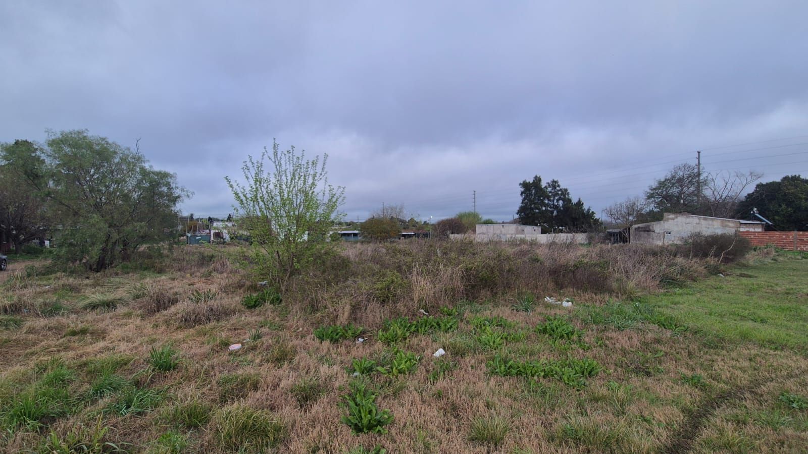 Imagen de la propiedad LOTE EN SAN BENITO